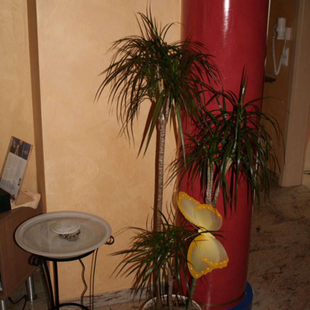 Galerie Bild 1